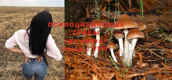 эйфоретик Нефтегорск